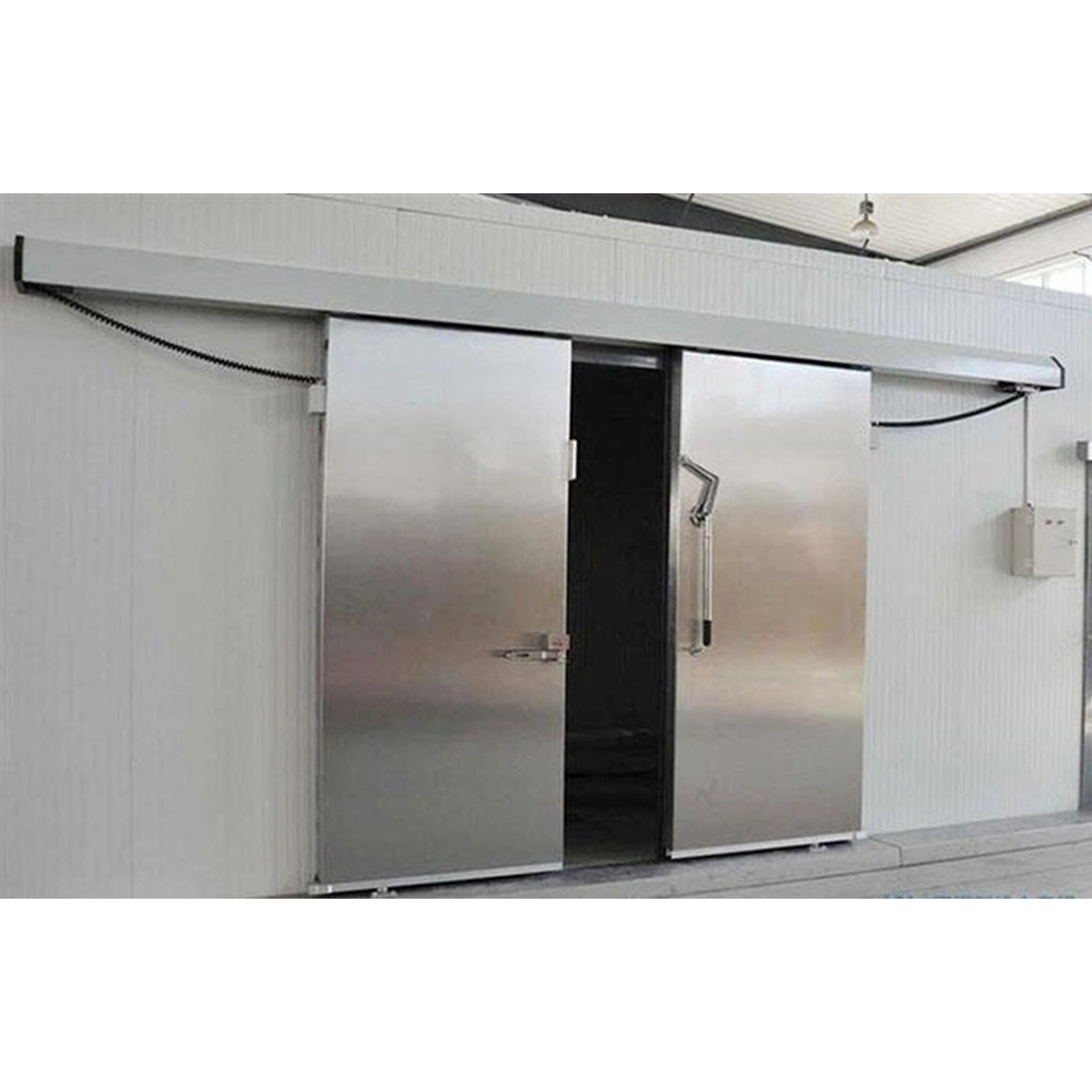 Refrigeration Electric Automatic Sliding Door for Cold Room