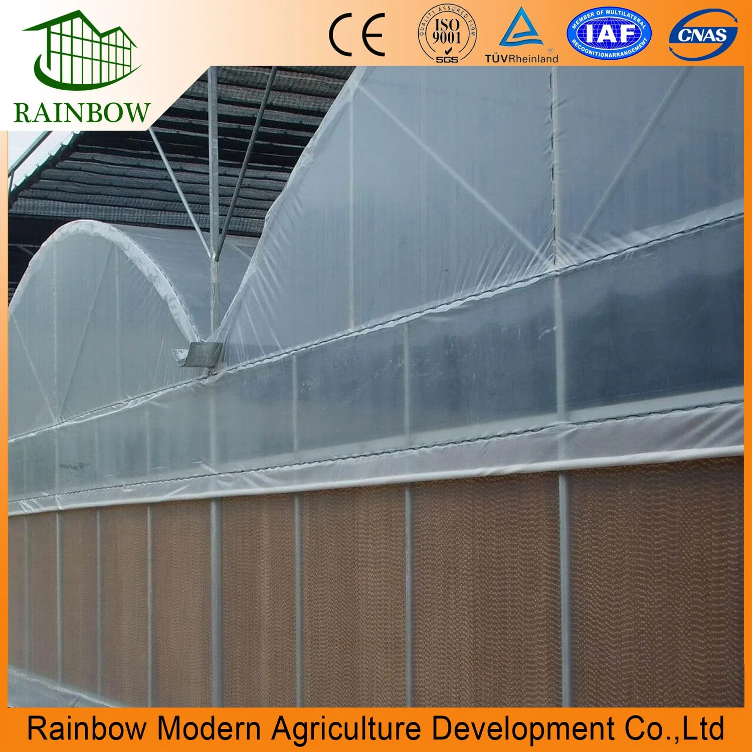 Hot Sale Multi Span 150/200 Microns Plastic Film Tunnel Greenhouse with Hydroponic Systems for Tomato/Cucumber/Vegetable/Fruit/Pepper/Eggplant Green Houses