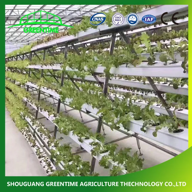 Landwirtschaftliche Hydroponics System PVC NFT Kanal Rohr Vertikal A Typ Salat Blatt Gemüse Anbauen