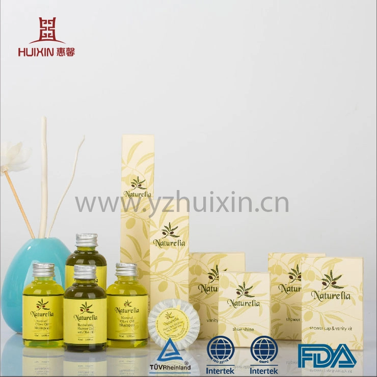 China Golden Supplier Disposable Hotel Amenity Set