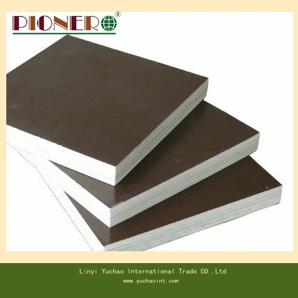 Factory-Directly Sales Film Faced Plywood with Top Quality