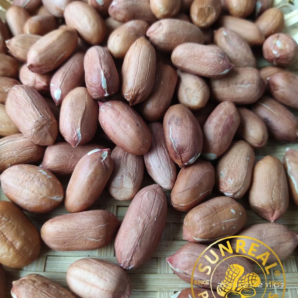 Raw Peanut Kernels Virginia 34/38 China//Good Service/All Necessary Licenses and Certificates