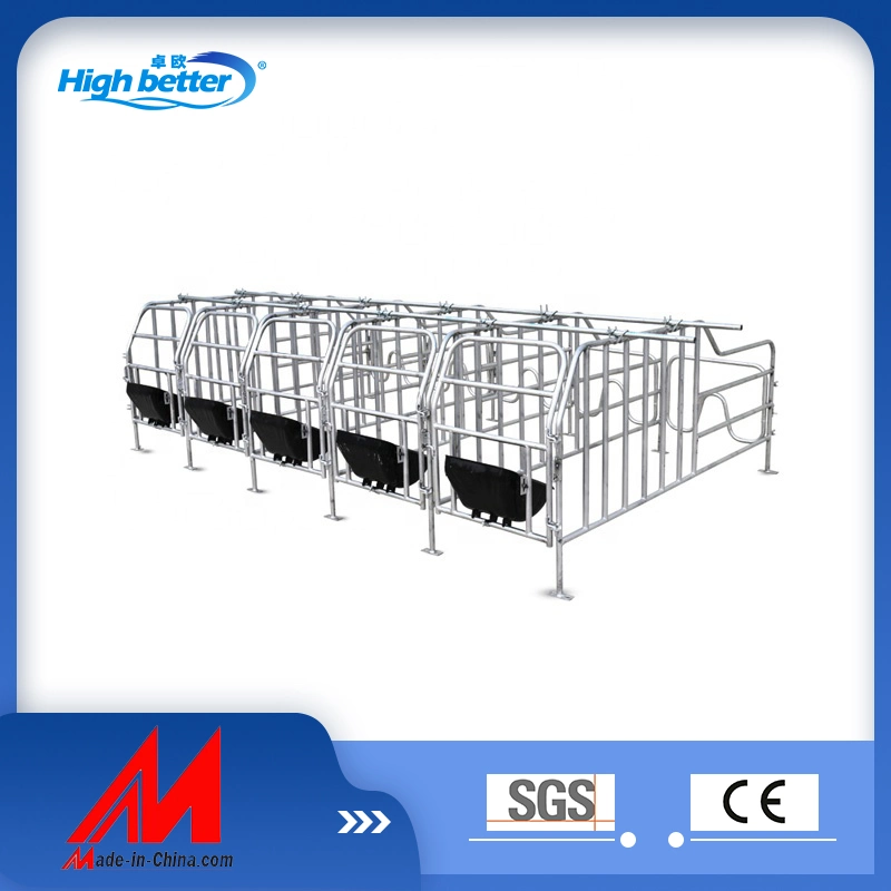 Animal cochon Double Cage Farrowing Cages de Porc Porc de la caisse de l'équipement agricole