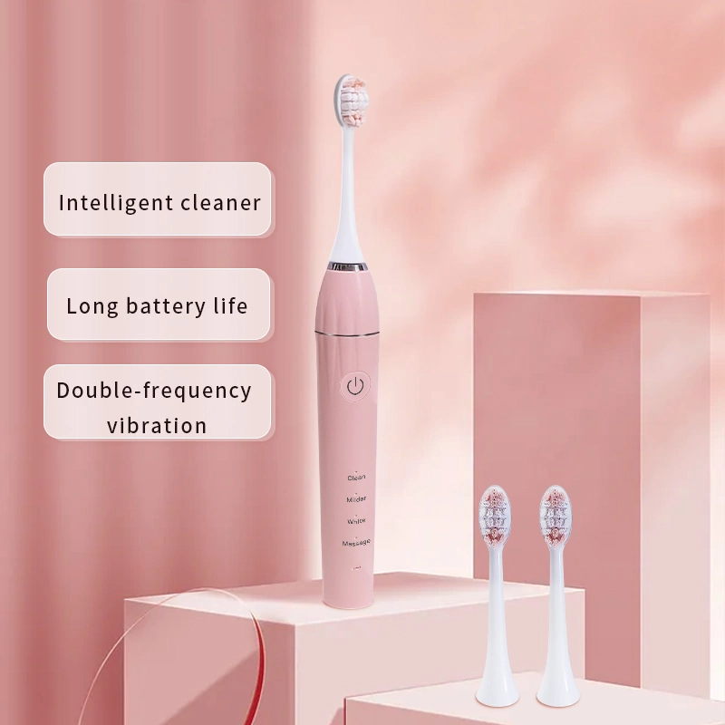 OEM Hot Selling Ss1 Private Teeth Whitening Sonic Electric Toothbrush