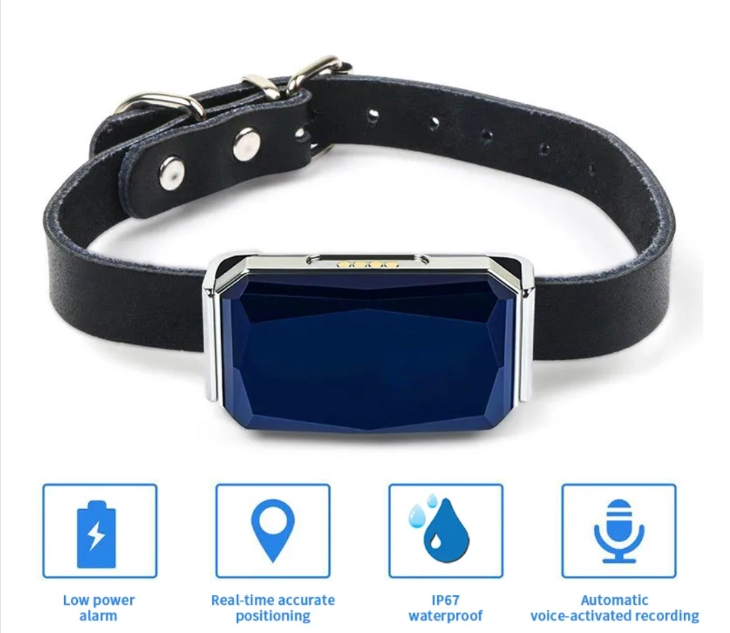 PET Supplies Bluetooth Pet Tracker GPS AGPS LBS Bds WiFi Lage Intelligent