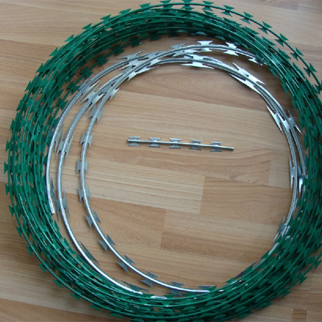 Razor Tape Concertina Wire for Stainless Steel or Galvanized Bto-22