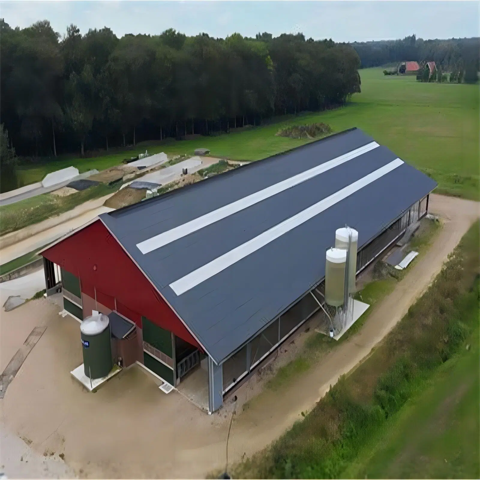 Günstige Vorgefertigte Pre Engineering Stahl Struktur Chicken Farm Geflügel Haus