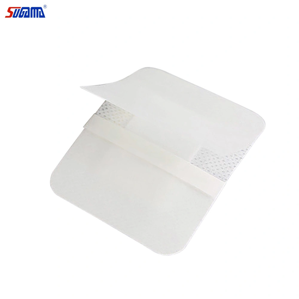 Wholesale/Supplier Good Price Medical Non Woven Adhesive Wound Dressings