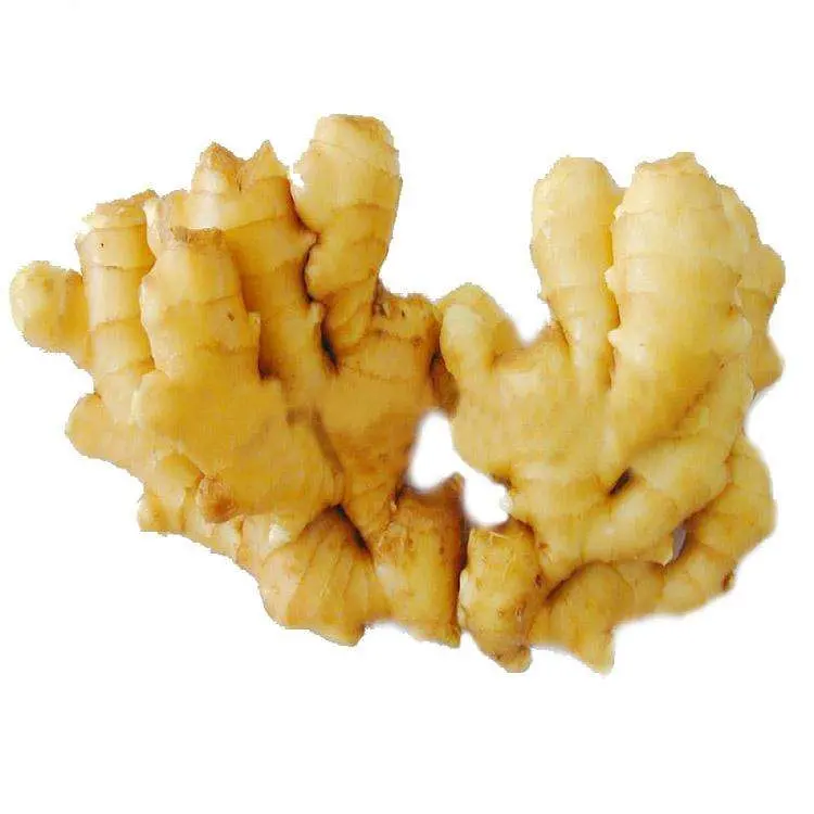 High-Quality Agriculture Products: Fresh Ginger From Shandong