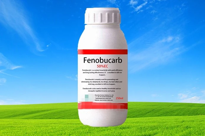 China Supplier Agriculture Insecticide Natural Control Effective Cotton Bpmc Price CAS 3766-81-2 98%Tc 80% 50% 25% Ec Fenobucarb