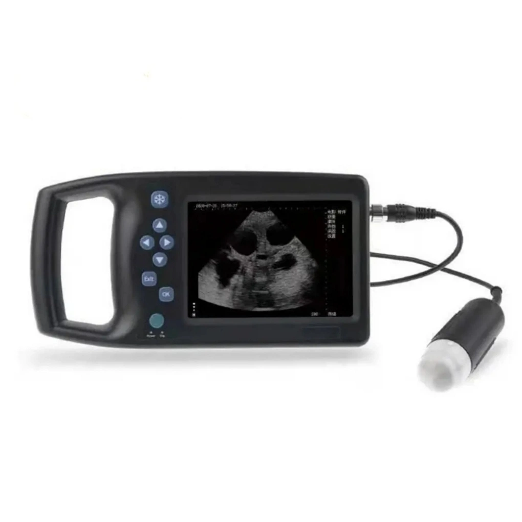 Yb-M60 Veterinary Ultrasound Scanner Animals for Swine, Sheep, Dogs