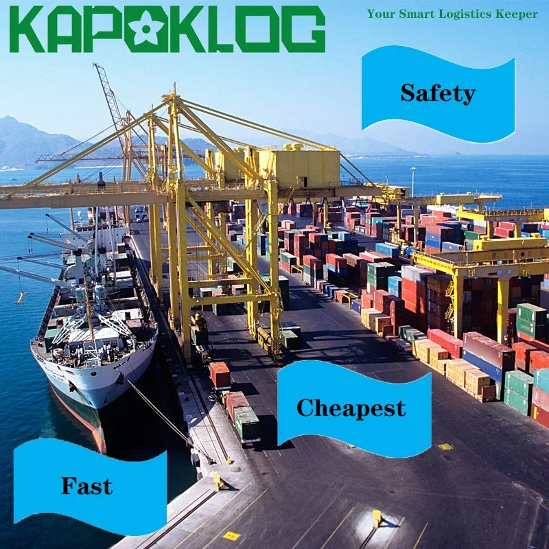 DDU DDP DAP Sea Freight Shipping to USA