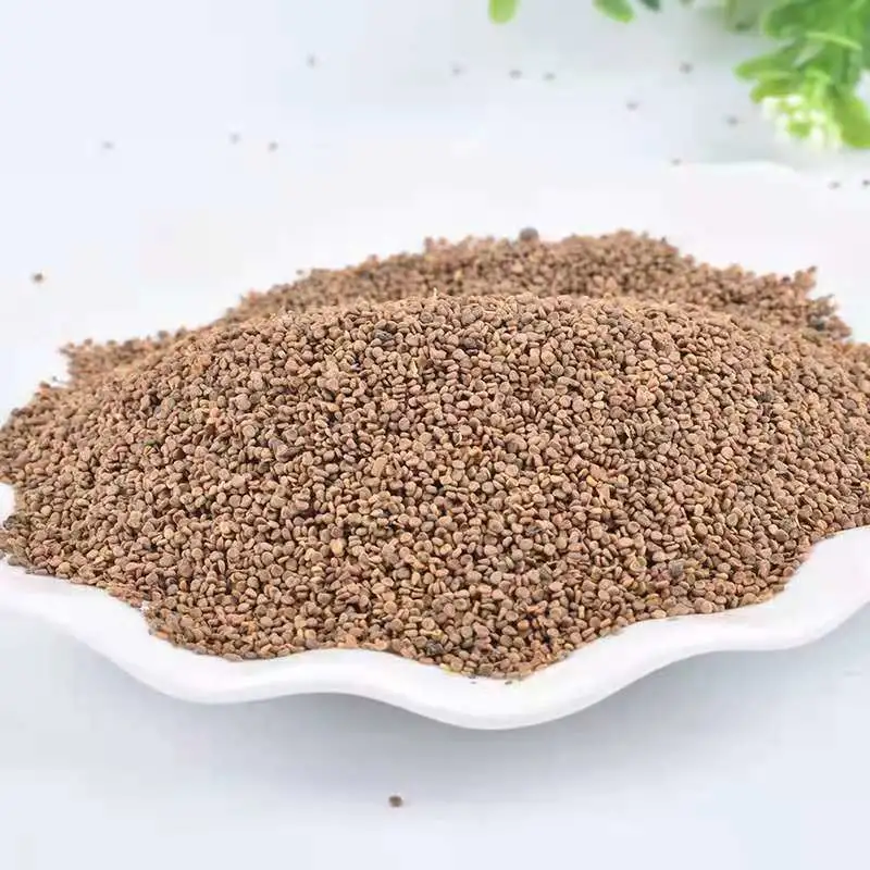 Le Dong Kui Zi Fournisseur d'usine de haute qualité à base de plantes naturel en vrac Chingma Abutilon semences pour la santé
