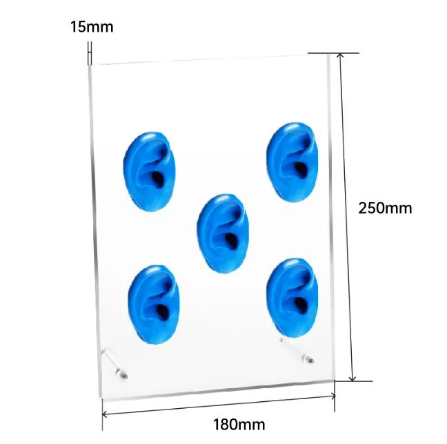 Plaza de la Oreja de acrílico de alta calidad con la visualización de los modelos de silicona