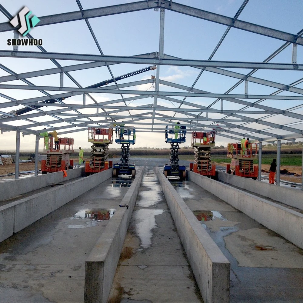 Casas de la cría de aves de corral pollo galpón Estructura de acero para incubar