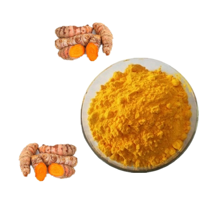 Pigment alimentaire naturel en vrac le curcuma Curcumins extrait de racine de 95 % Poudre