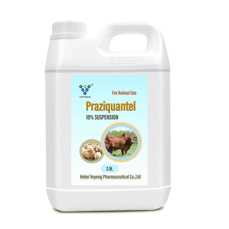 Veterinary Drug Praziquantel Suspension for Cattle Sheep Goat Horse Camel Praziquantel & Levamisole Oral Solution