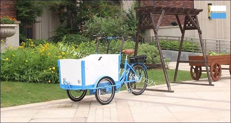 Three Wheels Electric Cargo Bike Family Adult Tricycle Outdoor Food Vending Cart