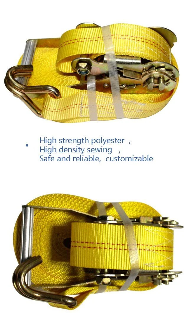 CE Approved Polyester Leo Shrink Packing, Blister Box or Bag Cargo Lashing Belts Ratchet Buckle