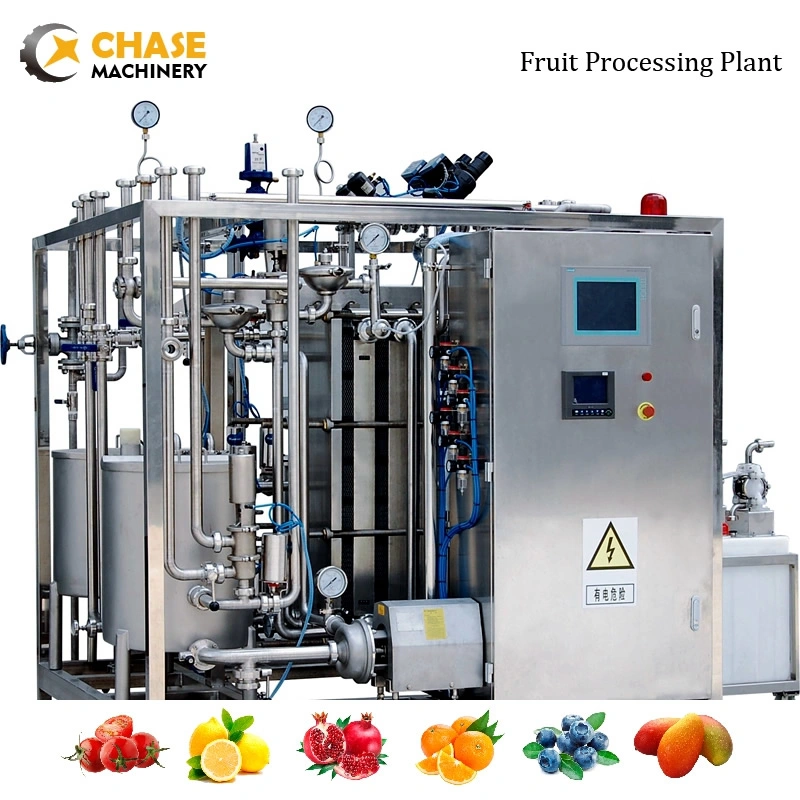 Professional Apple Chips Jam Pulp Juice Production Making Processing Plant