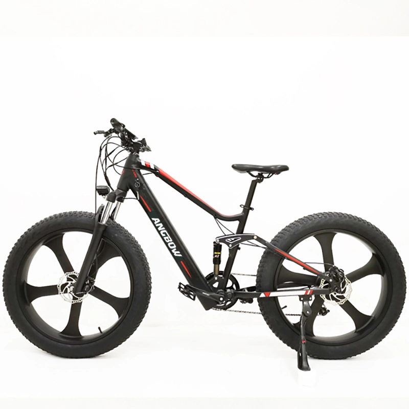 Elektrisches Fahrrad elektrisches Faltrad 750W Motor eBike