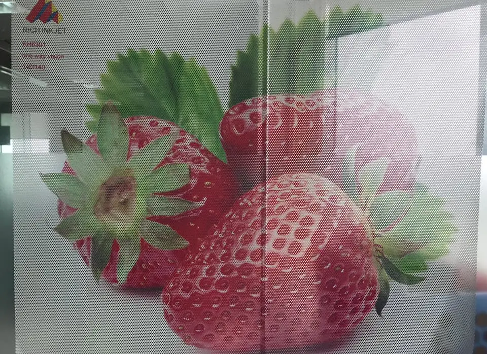 Perforated Vinyl Film for Solvent Digital Printing