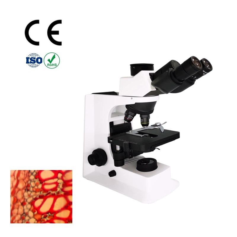 النظام الضوئي الذكي 1tr Olympus MicroScope Cx23، Olympus Cx43 Biological MicroScope Cx33 Olympus