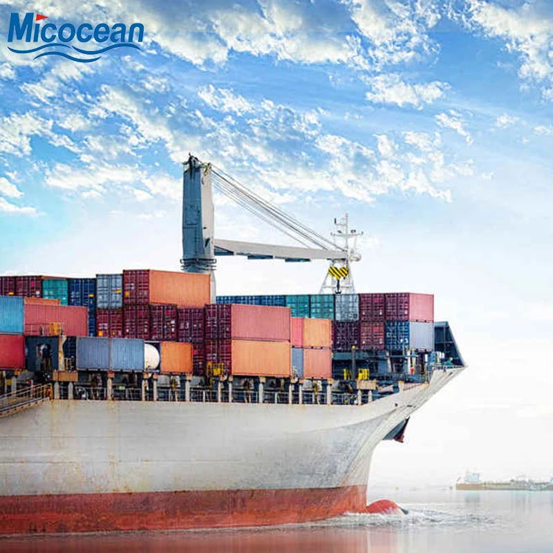 Professional Sea Freight Service Shipping From Shenzhen/Shanghai/Xiamen to Beira/Muputo