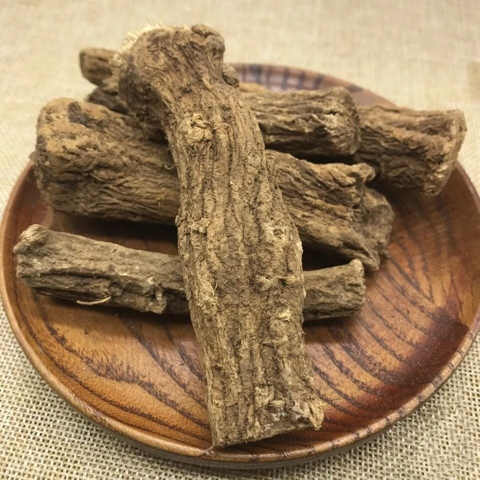 Wholesale/Supplier Traditional Chinese Medicine Health Care Food Spice Costus Root