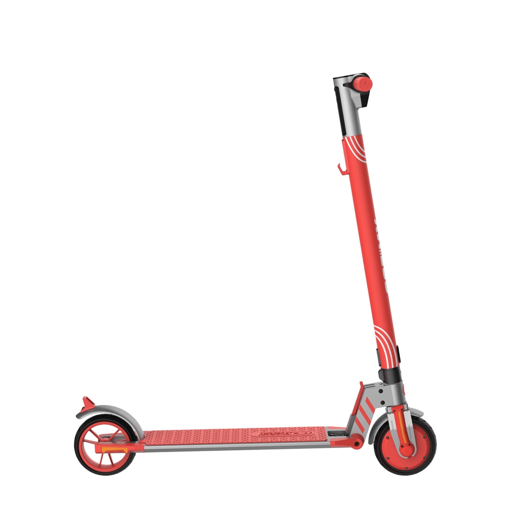 6iinch Solid Tire 36V 250W Electric Scooter for Kids