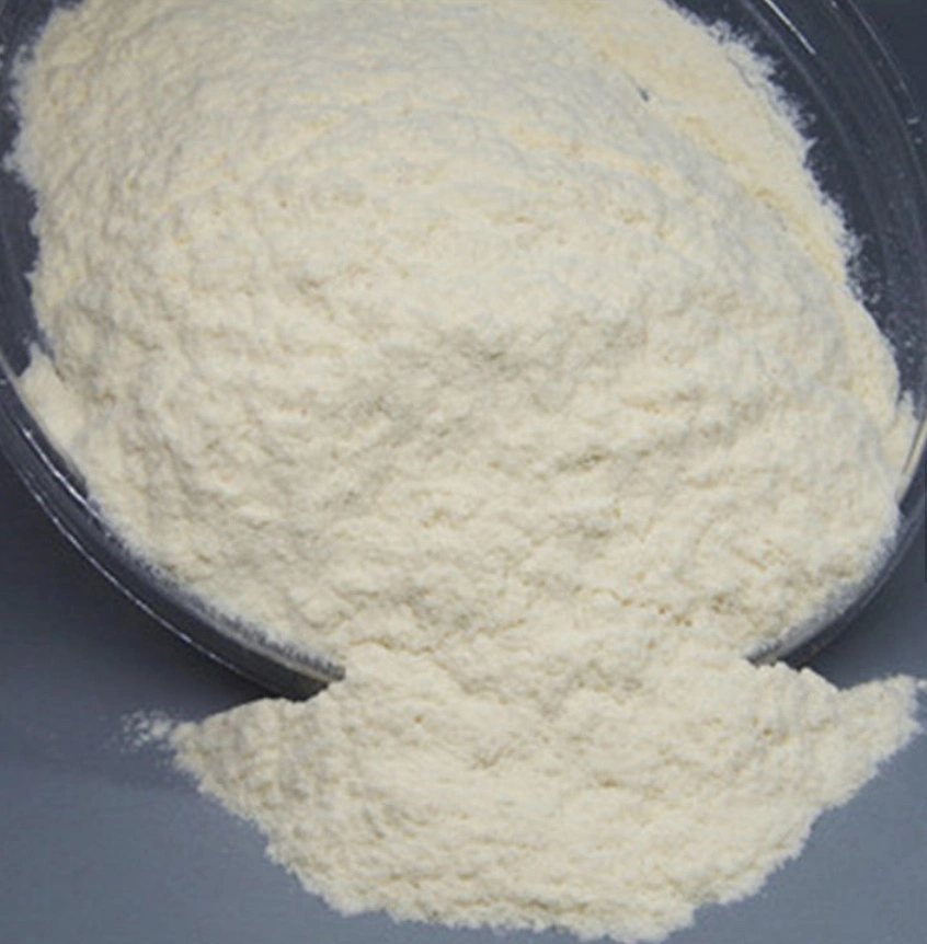 200mesh Best Price Xanthan Gum for Food Powder Suppliers CAS 11138-66-2