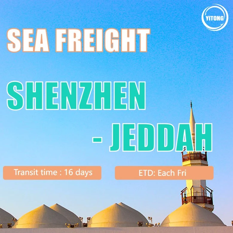 Seefracht Logistik von Shanghai nach Jeddah