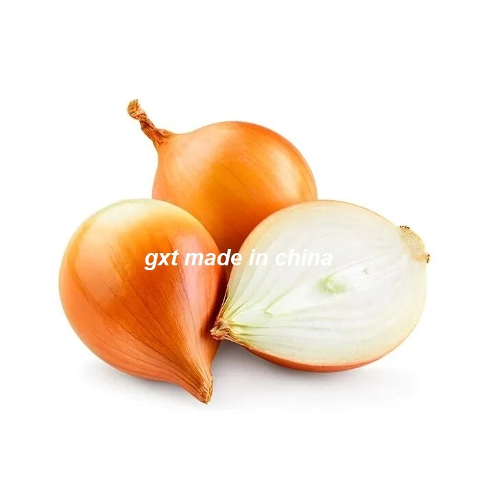 Fresh Yellow Onion/Onions Exporter Price 1kg for Malaysia