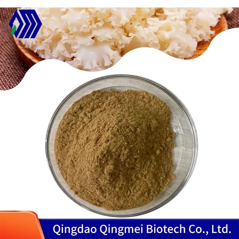 Factory Supply Sparassis Crispa Extract Powder Polysaccharides10%-50%