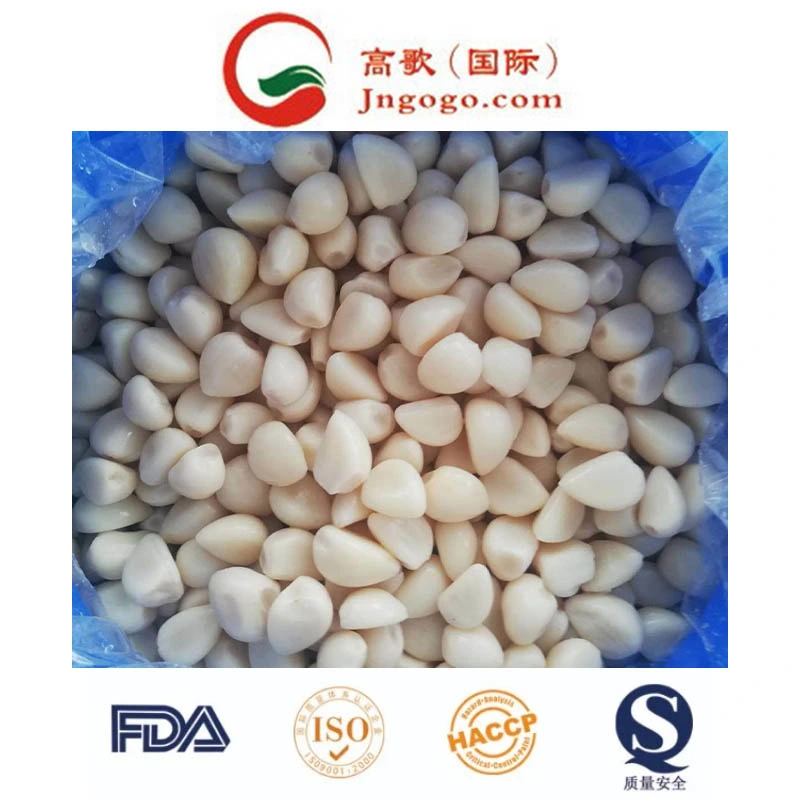 High quality/High cost performance  Garlic Cloves in Brine