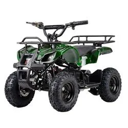 Новый электрический ATV Quad Bike для детей 500W/800 Вт/1000W 36V12Ah