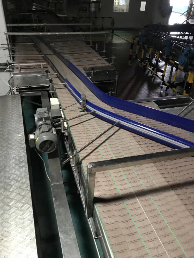 Flat Top Conveyor Chain for Beverage with ISO& CE &FDA Certificate