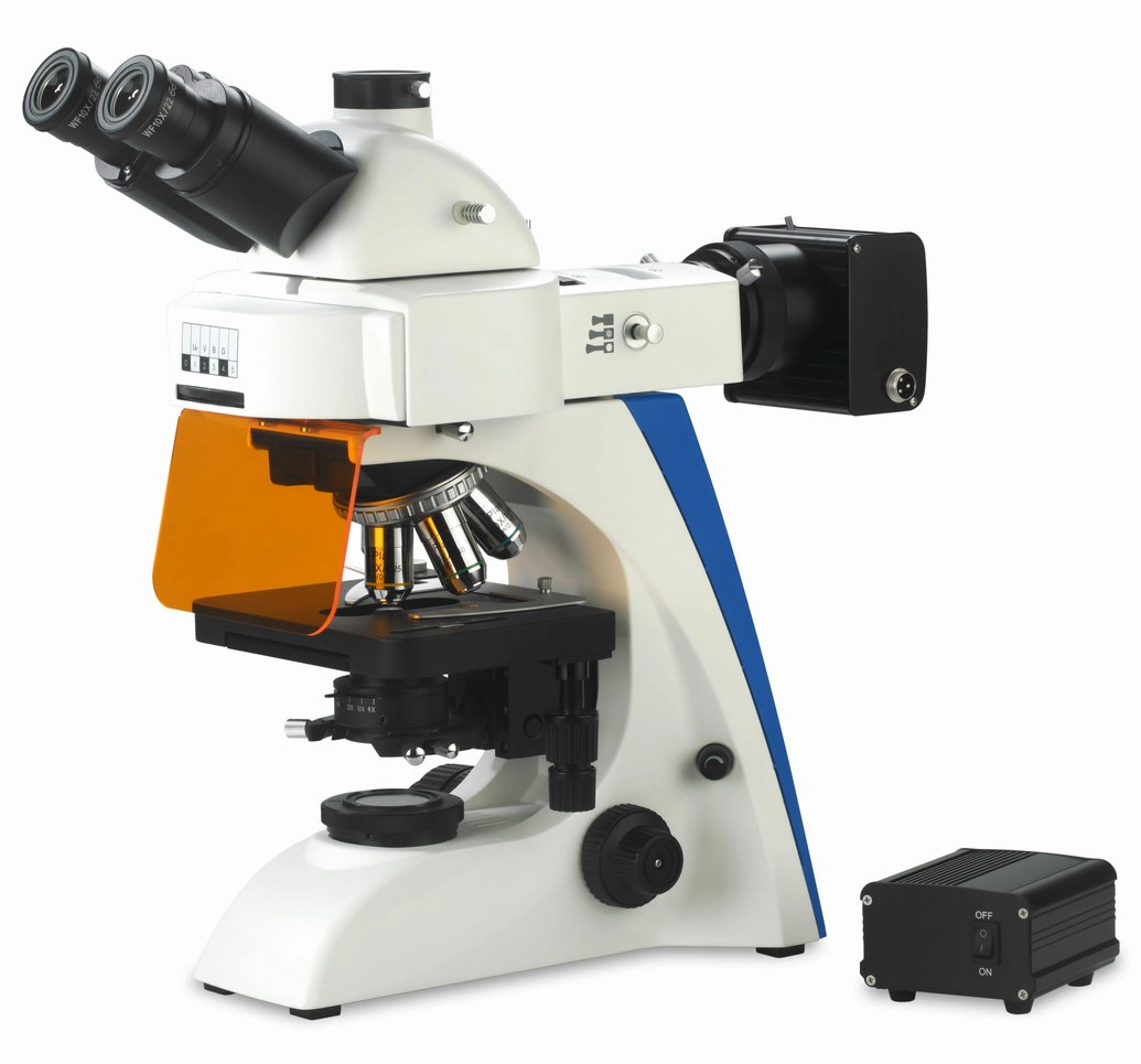 Bestscope BS-2063FT (LED, TB) LED Fluorescence Microscope