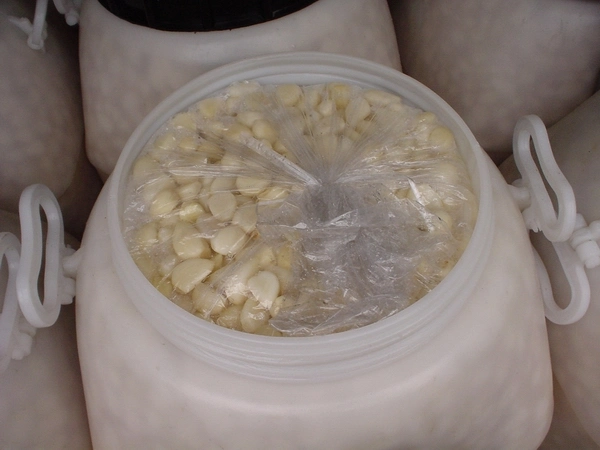 50kg Drum Pickled Garlic in Brine for Industry Use