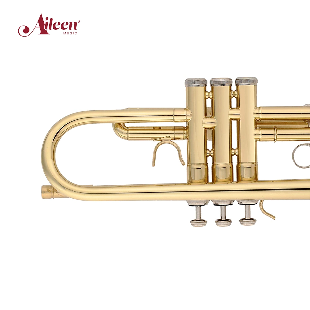 Golden Lacquered Brass Body Bb Key Student Trumpet (TP8001G)