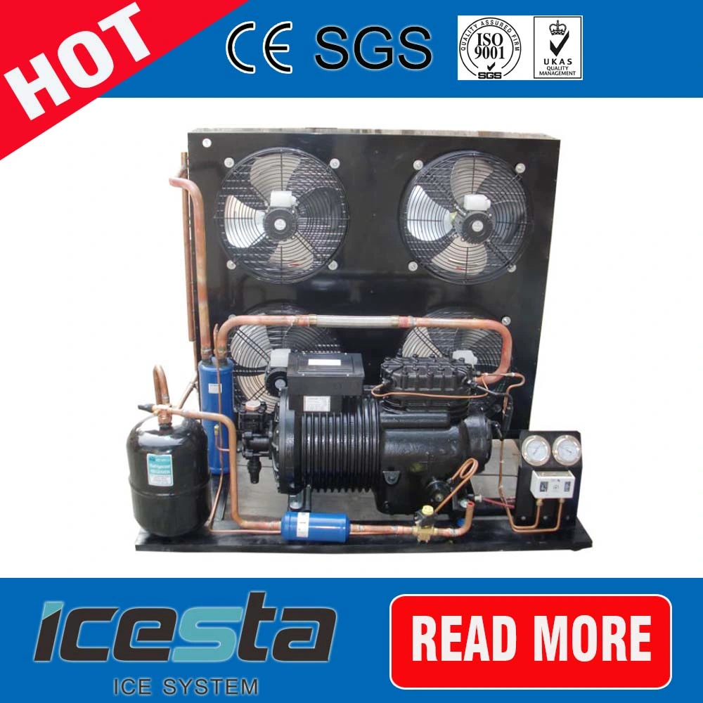 Hot vender Compresor Copeland piezas de equipos de refrigeración de la unidad de condensación.