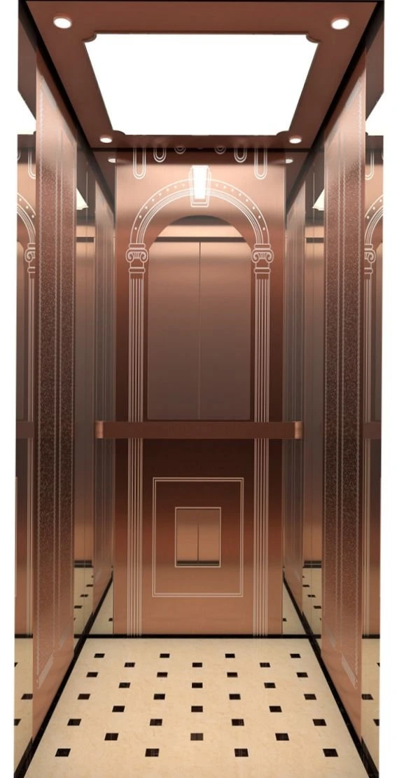 FUJI Elevator Passenger Elevator Home Elevator Stair Villa Lift Cargo Parts Elevator Parts Cargo Parts Outdoor Eelvator Price Elevator Components Lift