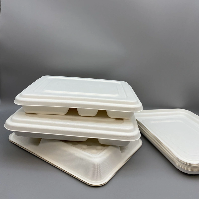 5 Compartment Disposable Tableware Takeaway Food Container Bagasse Deep Lunch Tray