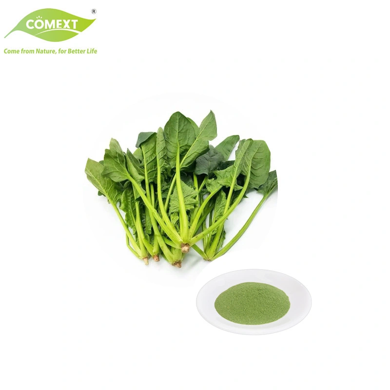Comext Plant Extract Natural Spinacia Oleracea Extract Spinach Leaf Extract