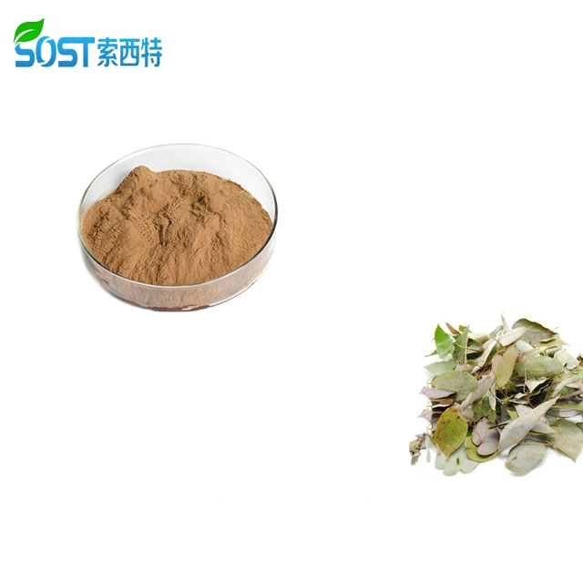 Free Sample Chinese Herbal Extract Powder Horny Goat Weed Capsules