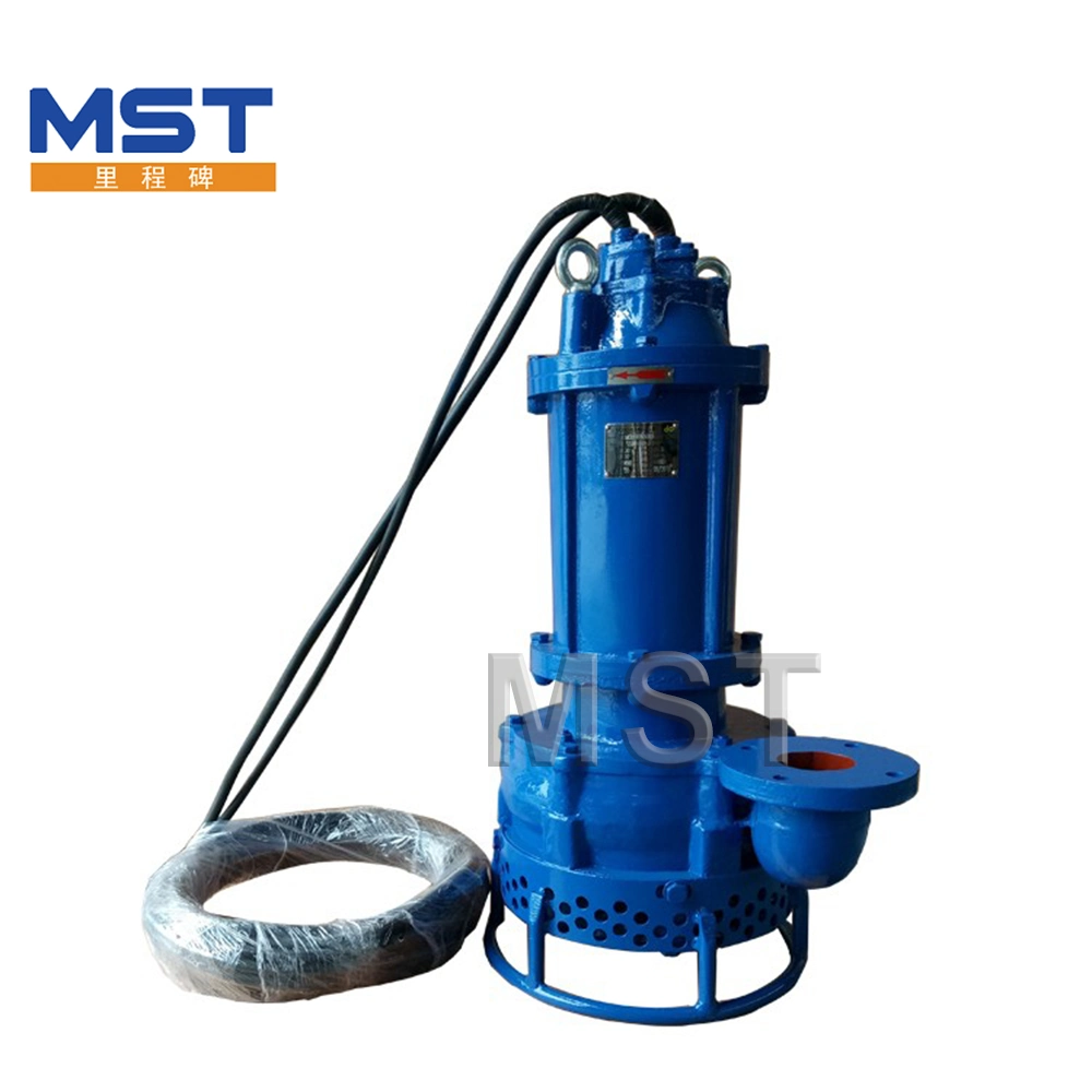 High Chromium High Pressure Submersible Dredging Sand Seawater Mixing Submersible Slurry Pump