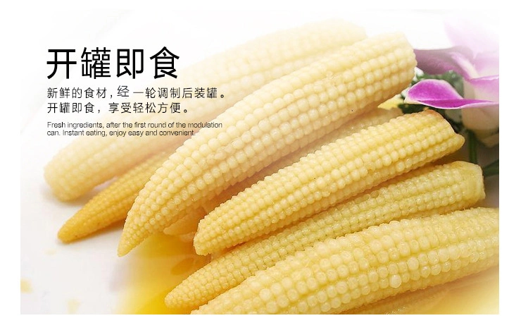 Canned Baby Corn Whole in Brine with Goodd Price