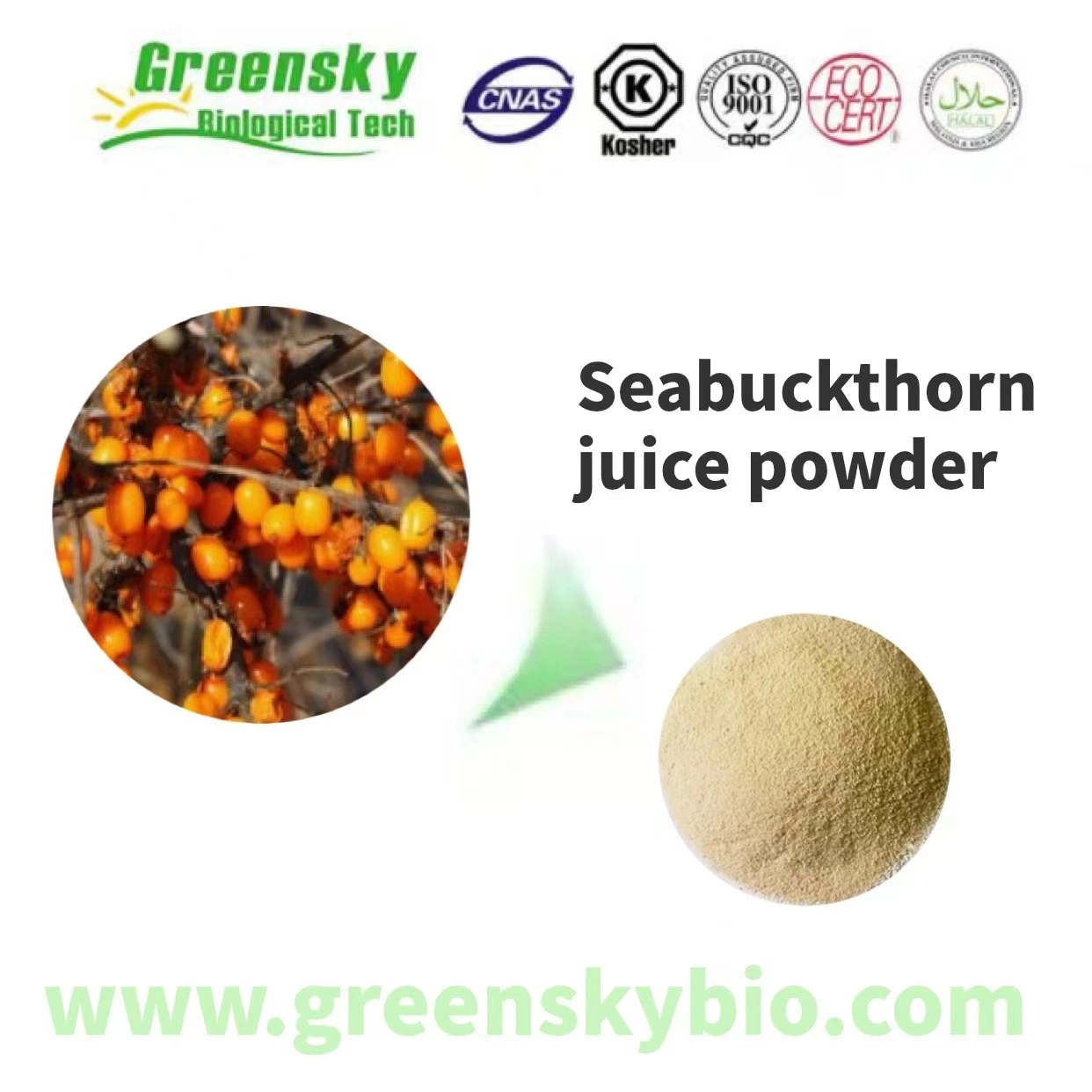 Factory Supply High Quality Free Sample Pure Sea Buckthorn Extract Seabuckthorn Juice Powder 10: 1 Light Yellow Powder