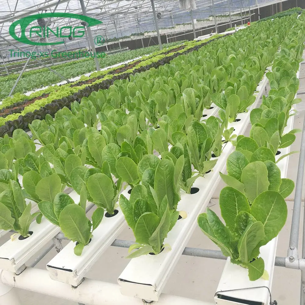 NFT Hydrofonic-Kit für die Salatbepflanzung