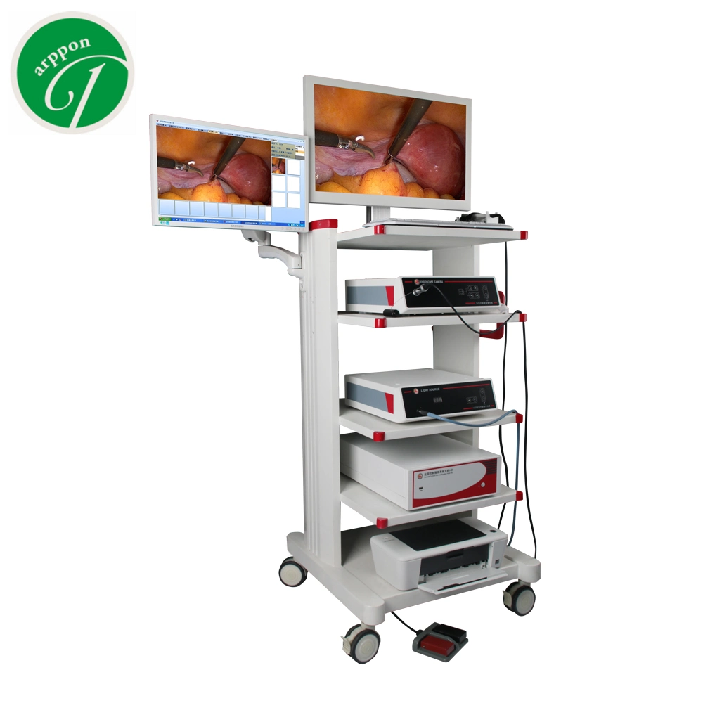 Endoskopischer medizinischer Monitor LCD-Bildschirm Tower-System für Hysteroskopie Arthroskopie Urologie Anorektal